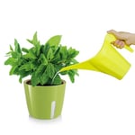 Zendea Pot pour Plantes Rond Vert 11 x 13,5 cm avec côté Transparent pour Le contrôle de l'eau - idéal pour cultiver de Petites Plantes, Fleurs et Herbes aromatiques en terrasse ou Jardin - Résistant