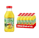 Tropical Vibes Pineapple & Ginger Drink, Exotic Flavors, Refreshing Summer Drink, Pack of 15.