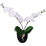 Plante artificielle avec pot Orchidée 30 cm Blanc The Living Store Blanc