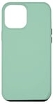 Coque pour iPhone 15 Plus Couleur vert menthe