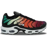 Baskets basses Nike  Air Max Plus TN Rainbow