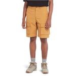 Timberland DWR Cargo Short - Short randonnée homme  