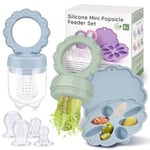 JONRRYIN Tetine Grignoteuse Bébé, Sucette Fruit pour Bebe, Tetine Fruits Bebe en 3 Tailles, Tétine d'alimentation 2 Grignoteuses + 6 Tetines pour Enfants de 3 à 24 Mois sans BPA