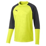 Puma Cup Training Sweat Core Pull Homme Fizzy Yellow/Asphalt FR : XL (Taille Fabricant : XL)