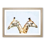 Big Box Art Giraffes Looking Both Ways Painting Framed Wall Art Picture Print Ready to Hang, Oak A2 (62 x 45 cm)