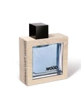 Dsquared2 HEWOOD Ocean Wet Wood edt 100ml