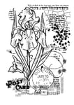 Woodware Clear Magic Stamp Francoise Collection-Vintage Iris-Tampon magique transparent, 10 x 13,5 cm