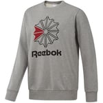 Sweat-shirt Reebok Sport  AC FT BIG STAR