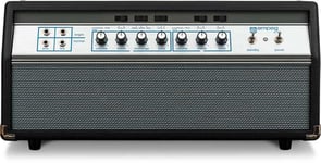 AMPEG SVT 50TH HERITAGE SE