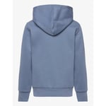 Champion ICONS Hoodie Gutt