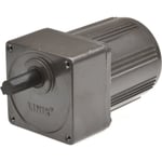 GEAR MOTOR YN80 24RPM