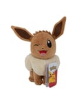 Pokemon Eevee Winking