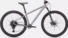 Specialized Specialized Rockhopper Expert 29 | Satin Silver Dust / Black Holographic Foil