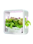 Aspara SmartPot aspara by GrowGreen Stylist Lite Smart Grower