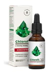 Aura Herbals - Chlorophyll From White Mulberry (30 ml)