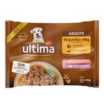 Ultima Fit & Delicious Mini Dog Adult 44 x 100 g - Lohi ja kalkkuna