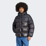 adidas Adicolor Down Regen Jacket Men