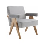 Fauteuil de Salon en Bois Massif Fauteuil Salon Confortable avec Accoudoirs Fauteuil Relax pour Salon, Velours, Gris