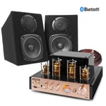 Bookshelf Stereo Speaker System with HiFi Valve Amplifier, Bluetooth, SHFB55B