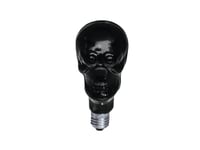 UV skull lamp 230V/75W E-27 80mm