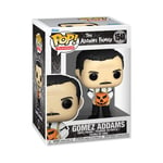 The Addams Family Gomez Addams Vinyl Figurine 1548 Funko Pop! multicolour