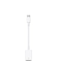 Apple USB-C to USB Adapter