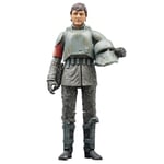 STAR WARS The Black Series Din Djarin (Morak) Toy 6-Inch-Scale The M (US IMPORT)