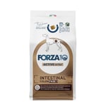 Forza 10 Active Line Intestinal Colon Phase 1 med fisk - 4 kg