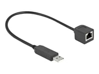 Delock - Seriell Adapter - Usb (Hann) Til Rj-45 (Hunn) - 25 Cm - Usb / Usb 2.0 / Eia-232 - Svart