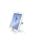 MACLOCKS iPad Security Rotating Stand