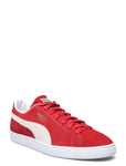 PUMA Suede Classic Xxi Vit