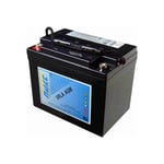 Energy Safe - Batterie au plomb agm vrla série Cyclic 12V 12Ah C20 (F2)