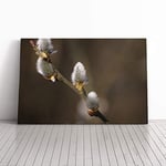 Big Box Art Canvas Print Wall Art Pussy Willow Tree | Mounted and Stretched Box Frame Picture | Home Decor for Kitchen, Living, Dining Room, Bedroom, Hallway, Multi-Colour, 30x20 Inch