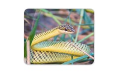 Golden Ornate Flying Tree Snake Mouse Mat Pad - Reptile Fun Computer Gift #16062