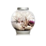 BIORB CLASSIC 15 MCR ARGENT AQUARIUM 15L MULTICOLORE LED