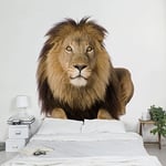 apalis Papier peint intissé le Roi Lion II Papier peint photo, carrés, multicolore, 97782, 192 x 192 cm