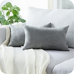 Topfinel Lot de 2 Housse de Coussin 40x80cm Décoratif Canapé en Chenille Housses Coussin Decoration Chambre Carré Couleur Uni pour Chaise,Voiture,Bureau, Gris Clair