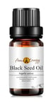 Raw Black Seed Oil | Cold Pressed Unrefined Black Cumin (Nigella sativa) | 10ml