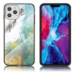 Apple Fantasy Marble iPhone 12 / Pro kuoret - Lentävä kyyhkynen Monivärinen