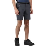 Regatta Mens Xert Stretch III Polyamide Walking Shorts - Grey - Size 46 (Waist)