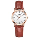 Basfur Dress Watch Fe-Montre-025-03