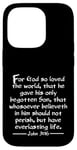 iPhone 14 Pro John 3:16 Whole Verse King James Bible For God So Loved KJV Case