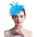 SJTJSPX Chapeau Bibi Femme Chapeau Fascinator Élégant Bibi Mariage Chapeau Nuptiale Coiffure Pince à Cheveux Accessoires Cheveux Bandeau Rétro pour Cocktail Royal Ascot Cérémonie Carnaval Mariage