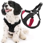 GOOBY Escape Free Harnais de Sport pour Petit Chien en néoprène breveté avec réglage à Quatre Points – Idéal pour Les déplacements – Noir – Taille S – Anti-Traction et Petits Chiens