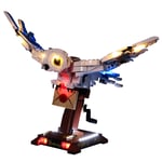 OVERWELL LED Light Set for Lego 75979 Harry Potter Hedwig The Owl Figure, USB Lighting Kit Compatible with Lego 75979