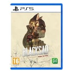 Jeu Microids Blacksad Under The Skin 1144311