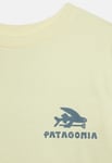 Patagonia Regenerative Organic Tee Kids