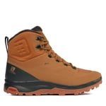 Trekking-skor Salomon Outblast Thinsulate™ Climasalomon™ Waterproof L47382500 Brun