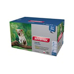 Advantix Grand Chien 25 à 40 kg 24 Pipettes