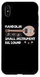 iPhone XS Max Mandolin Small Instrument Big Sound Mandolin Player Musician Case